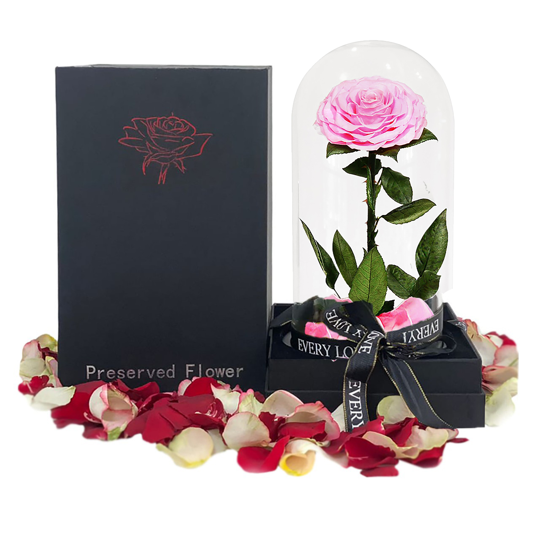 single pink rose