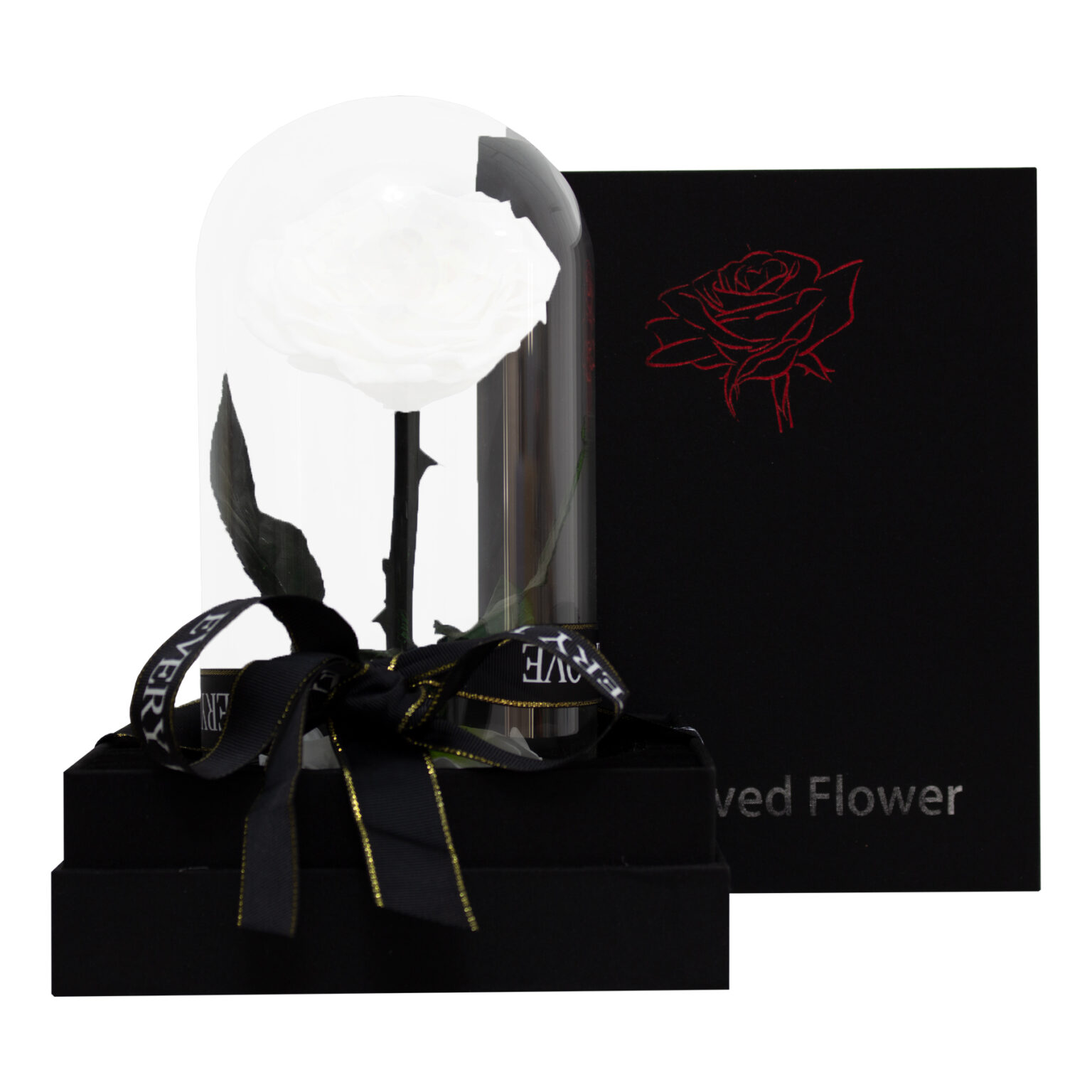 white infinity rose single CityRose Flowers