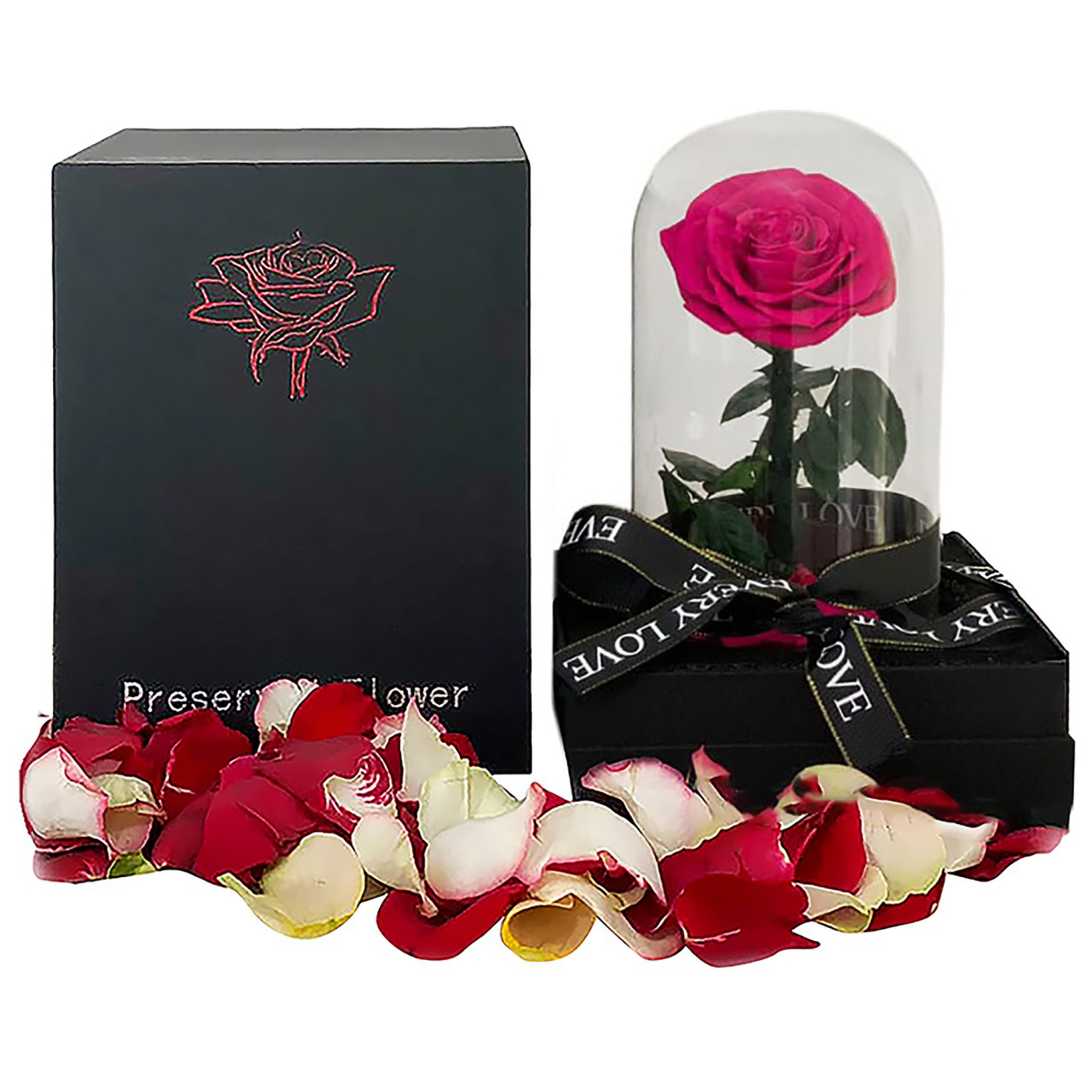 Fushia single rose