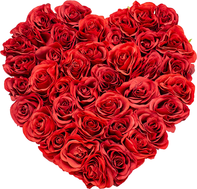 Valentine’s day heart