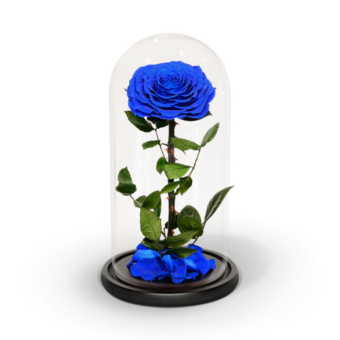 Single blue infinity rose - Image 2