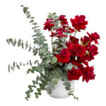 نصف القمر المبعثر