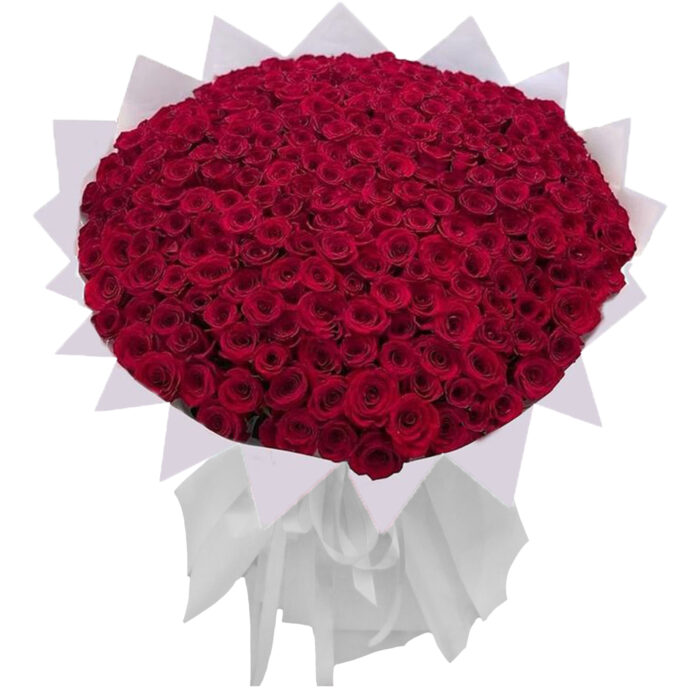 باقة 201 وردة حمراء