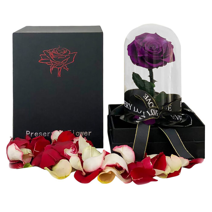 Single purple infinity rose