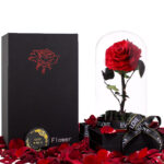 Single red infinity rose