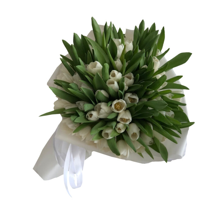 70 white tulips - Image 2